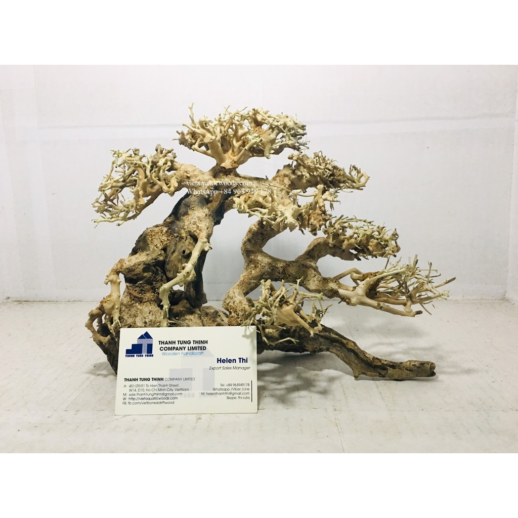 Lũa Bonsai Thủy Sinh Trang Trí Hồ Cá Cảnh Size Lớn 50x40cm BS12