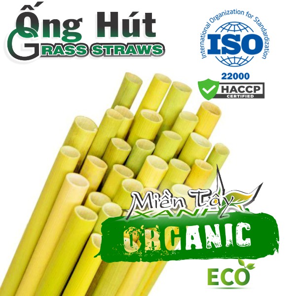 Hộp 25 ống hút cỏ bàng XUẤT KHẨU USA   MIỀN TÂY XANH - Chứng nhận FDA - ISO 22000-HACCP-OCOP