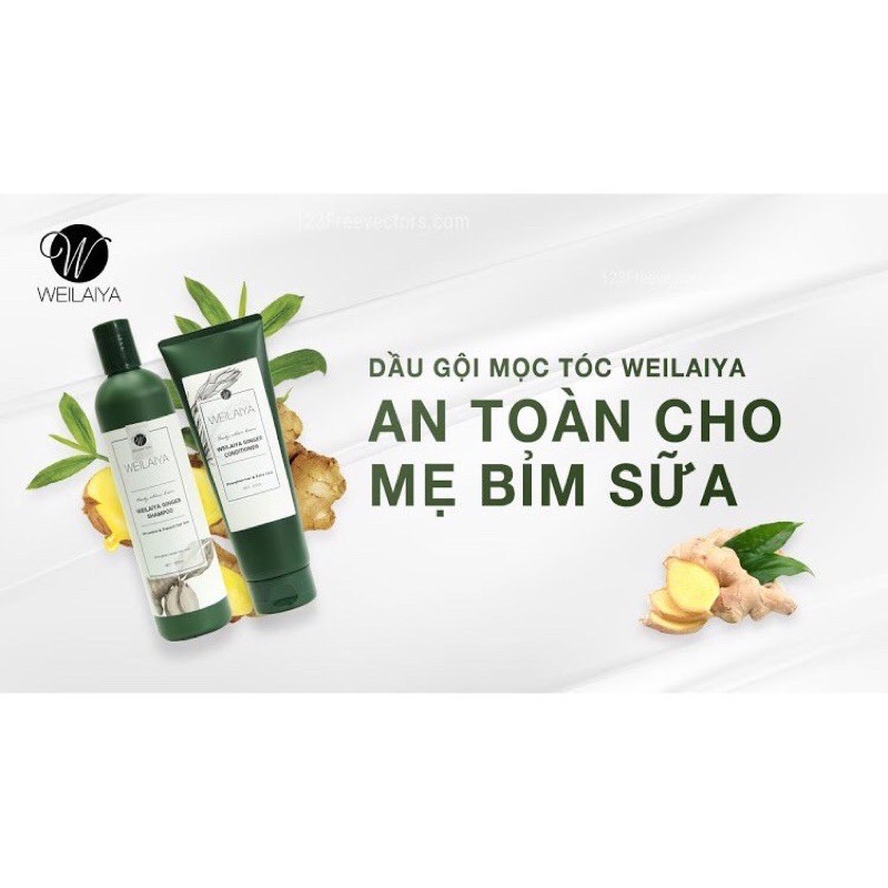 Bộ dầu gội gừng weilaiya ngăn rụng tóc - tóc mọc dày mượt