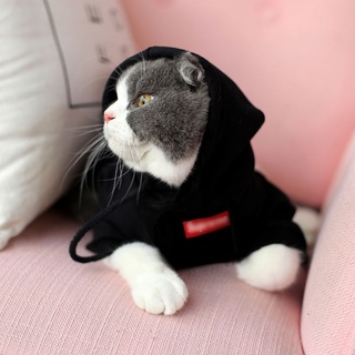 Quần áo mèo mùa thu và mùa đông áo len phong cách hợp thời trang Teddy pet cún cưng hơn Xiongying mèo ngắn màu xanh quần
