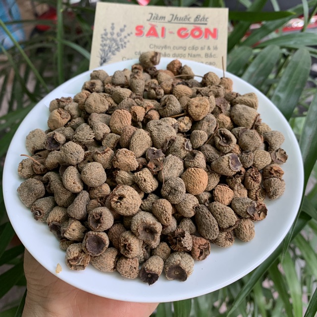 Phúc Bồn Tử 100GRAM