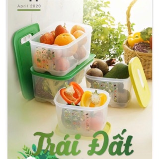 Bộ Hộp Tupperware Vensmart Vens