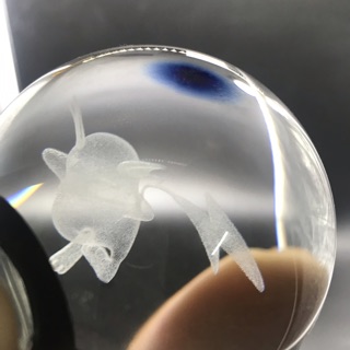 [Kadic] Đèn Pokemon Season 1 Size 8cm