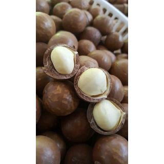 AVMM | Hạt mắc ca macca