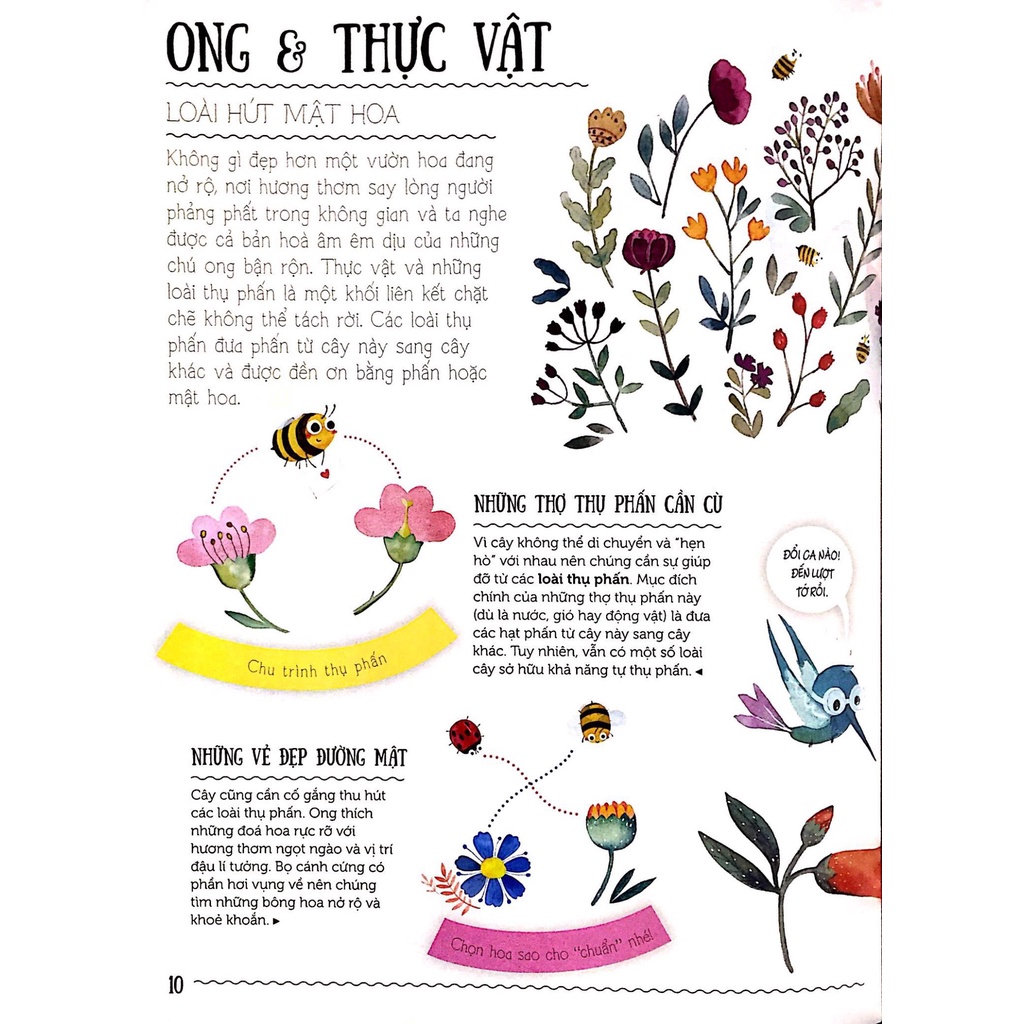 Sách - Thiên Nhiên Kì Thú - Những Tình Bạn Kì Lạ Trong Tự Nhiên - NXB Kim Đồng