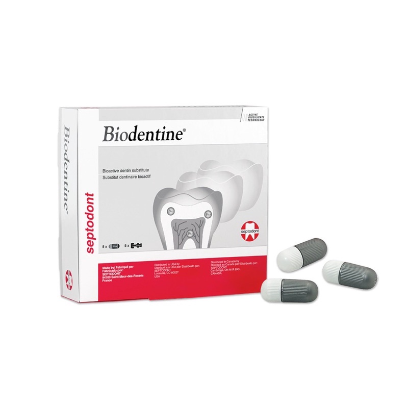 BIODENTINE Vật liệu sinh học thay thế ngà