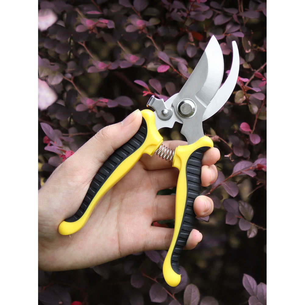 Kéo cắt tỉa cành cây