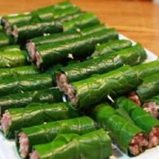 bầu Cây lá lốt
