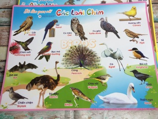 Tranh chủ đề cho bé