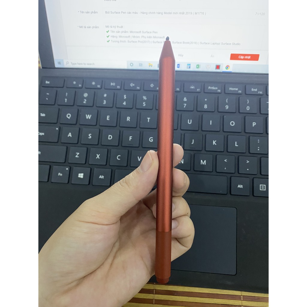 Bút Surface Pen các màu - Hàng chính hãng Model mới nhất 2019 ( M1776 )