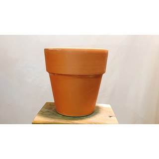 chậu đất nung 11 cm .