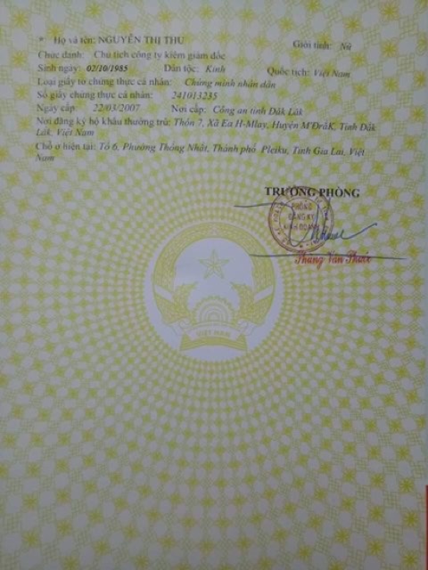 Sâm bổ kiện thảo mộc nam dành cho người gầy cam đoan chính hãng | BigBuy360 - bigbuy360.vn