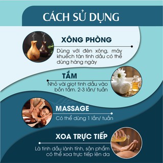 Combo 2 chai Tinh dầu Java & Tinh dầu Quế 24Care - (10ml/chai)