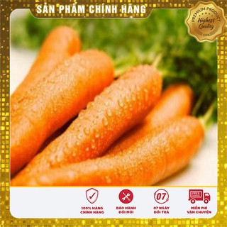 Hạt Giống Cà Rốt Nhật F1(100 hạt)