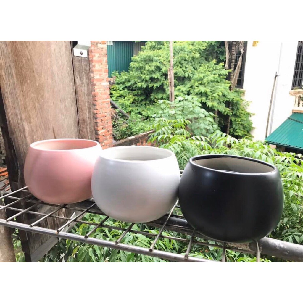 Chậu trồng cây dáng hạt dẻ xương rồng sen đá..