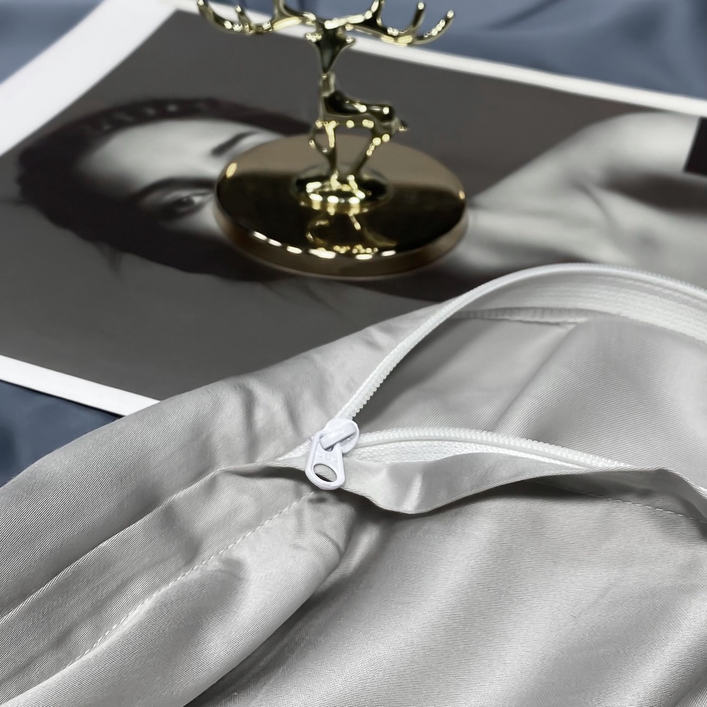 Bộ Chăn Ga Gối Lụa Tencel Cao Cấp Sang Xịn Mịn Mát Gồm Chăn Drap Gối Sét 4 Món - Nhập Khẩu Chính Hãng