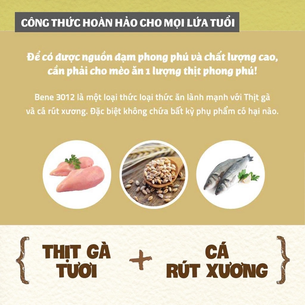 Hạt Natural Core C3 Bene 3012 cho mèo thịt gà và cá hồi bao 5kg