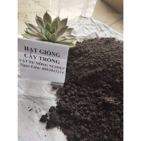 Đất sạch trồng cây - đất trộn sẵn trồng cây nhiều dinh dưỡng