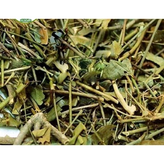 Chè vằng lá sẻ 50k 1 kg chuẩn rừng
