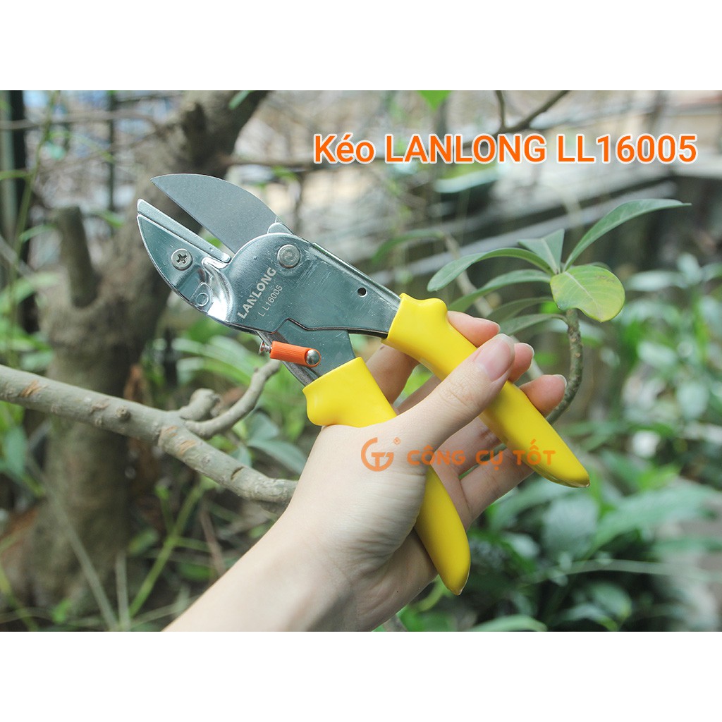 Kéo cắt cành 200mm kiểu lưỡi thái LL16005 C-mart A0052-08