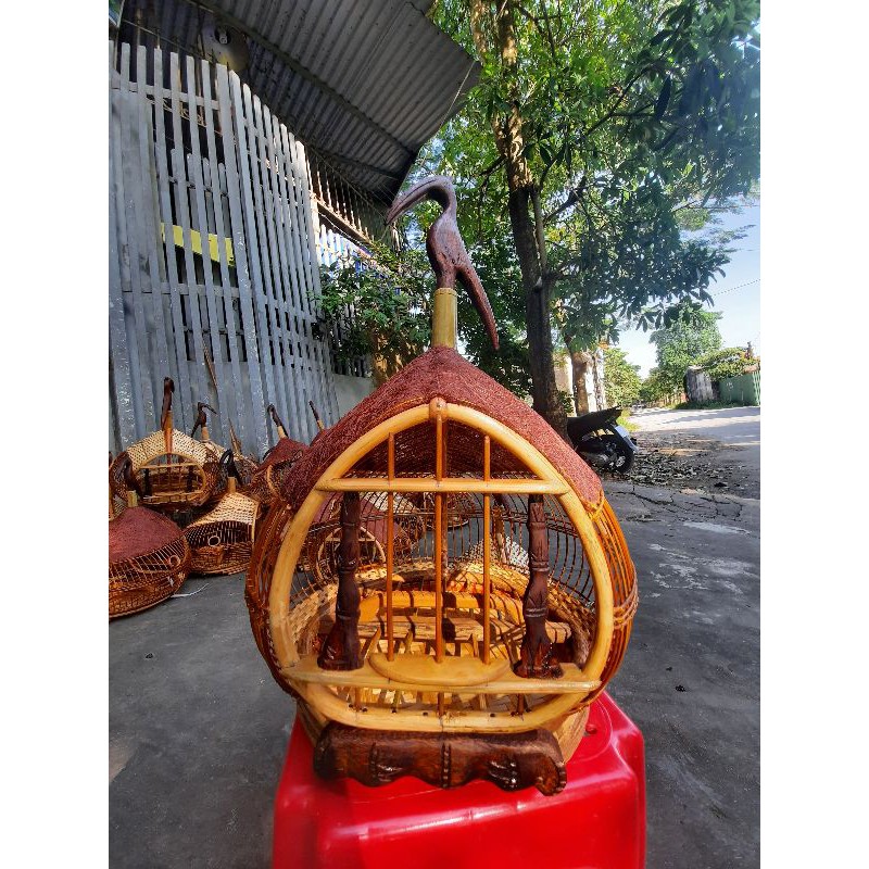 GÁY ĐAN MÂY ,SƠ DỪA CỬA RƠI