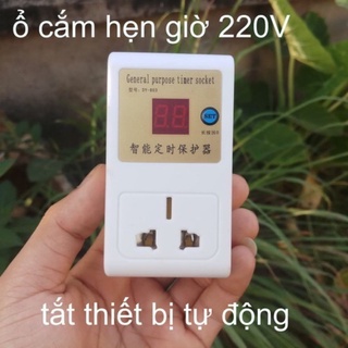 Ổ cắm hẹn giờ thông minh, Hẹn giờ Sạc Xe điện Chống phồng bình