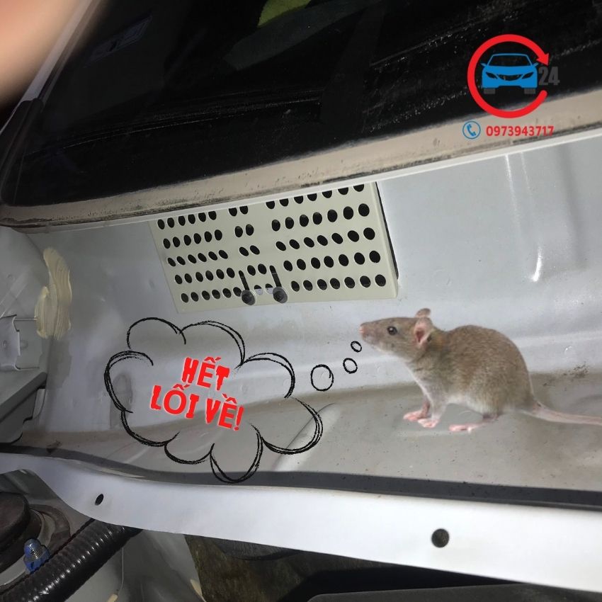 Lưới chống chuột ô tô Mitsubishi Attrage, tấm chắn chuột khoang lái Attrage bền đẹp, an toàn và hiệu quả.