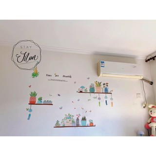 Decal dán tường chậu cây MS-99 [Sticker dán tường]