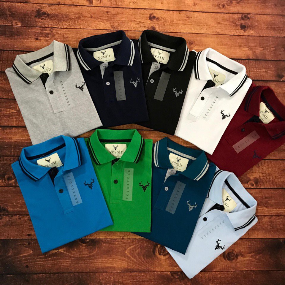 ÁO THUN NAM CÁ SẤU CÓ SIZE 3XL | BigBuy360 - bigbuy360.vn