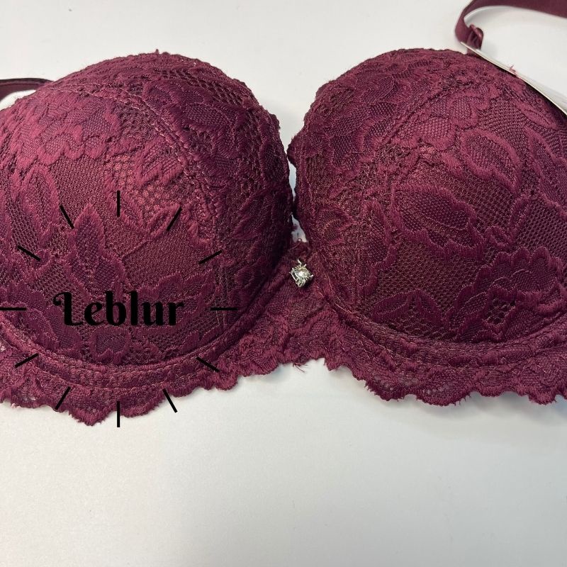 Áo ngực ren cup B có gọng có mút dày 2cm, áo ngực Thái Lan Sisterhood 2440 cao cấp, Leblur
