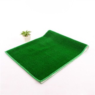 Thảm cỏ nhân tạo 50 x120cm carmi