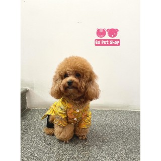 Bộ gấm thượng hải cho chó/mèo