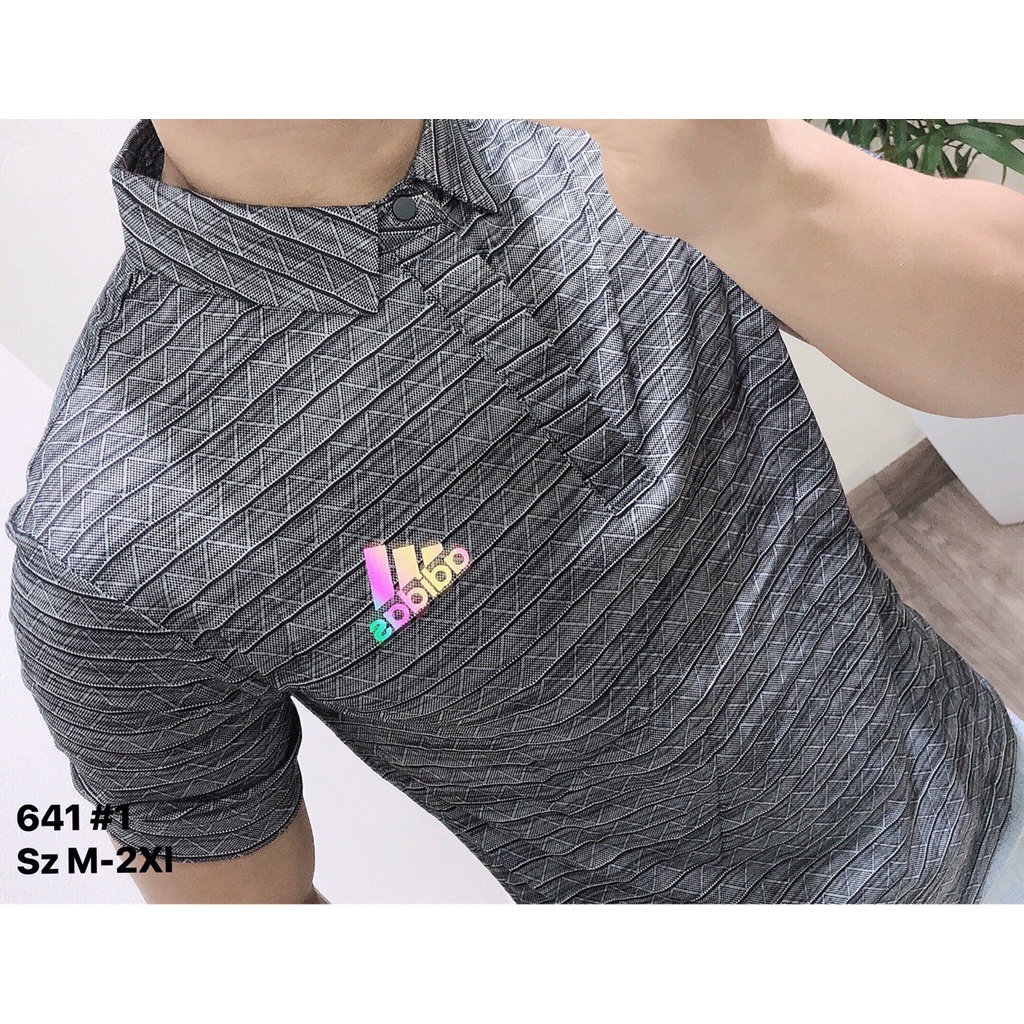 Áo thun thể thao cổ bẻ nam áo polo chất thun lạnh thoáng khí cao cấp APTTB10 - 641