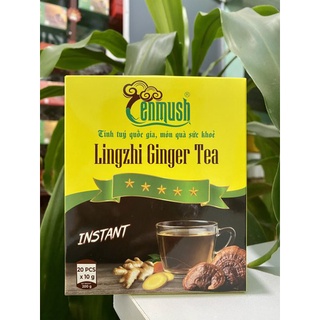 Trà gừng linh chi cenmush 200g