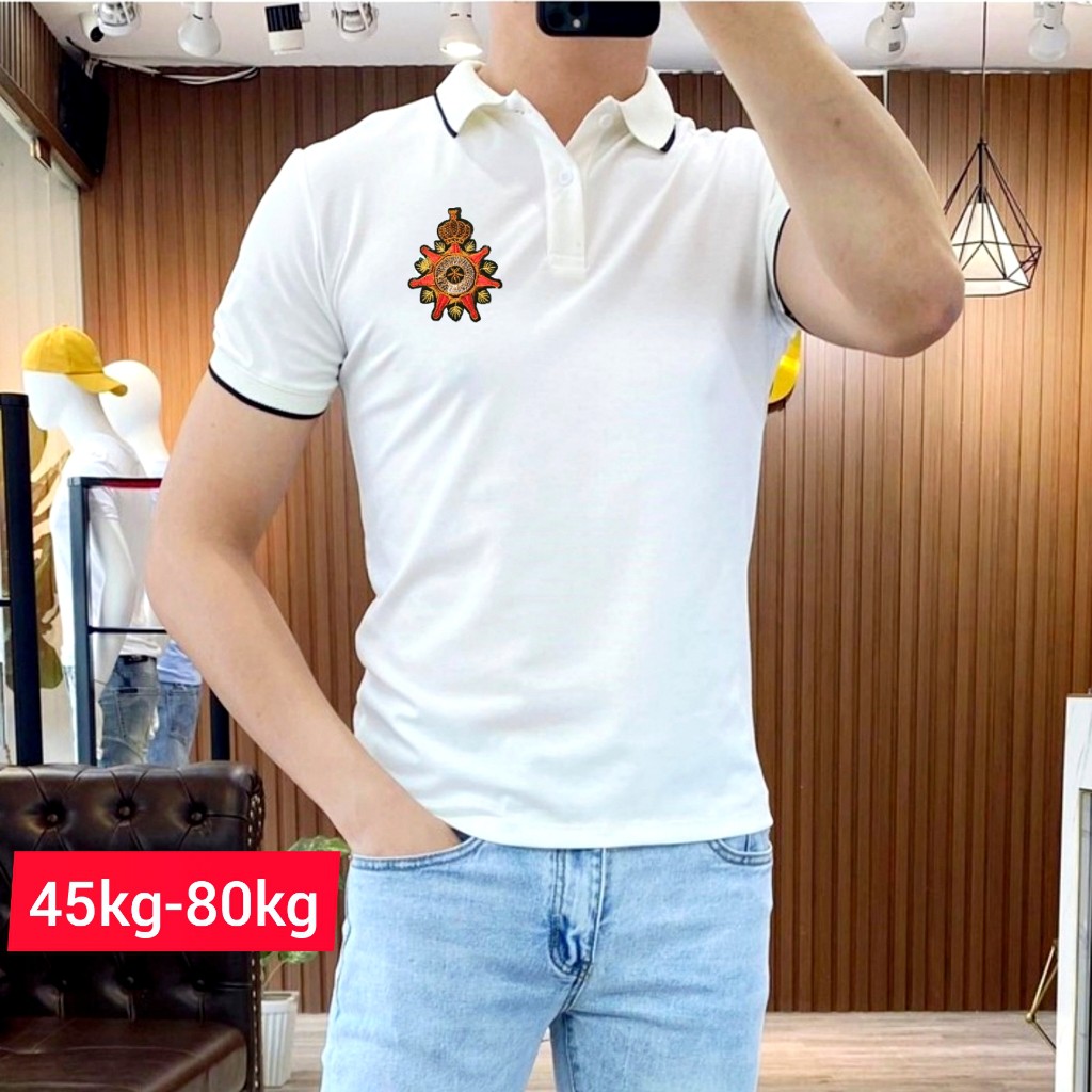Áo thun nam có cổ tay ngắn cao cấp cổ bẻ polo $$$ | BigBuy360 - bigbuy360.vn