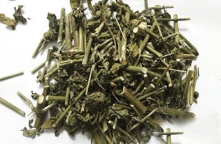 Cây bìm bịp ( Cây xương khỉ) khô 1 kg