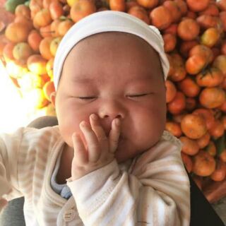 NHANG QUẾ THÔNG 75k