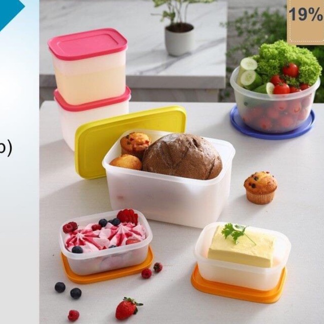 Hộp Trữ Đông cao cấp 450ml Freezermate Gen II đông dẻo tupperware