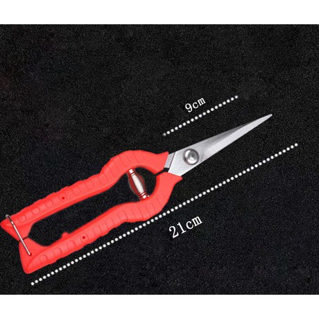 [FREESHIP 50K] Kéo tỉa cành, rau, cắt hoa quả thép tốt loại lưỡi dài