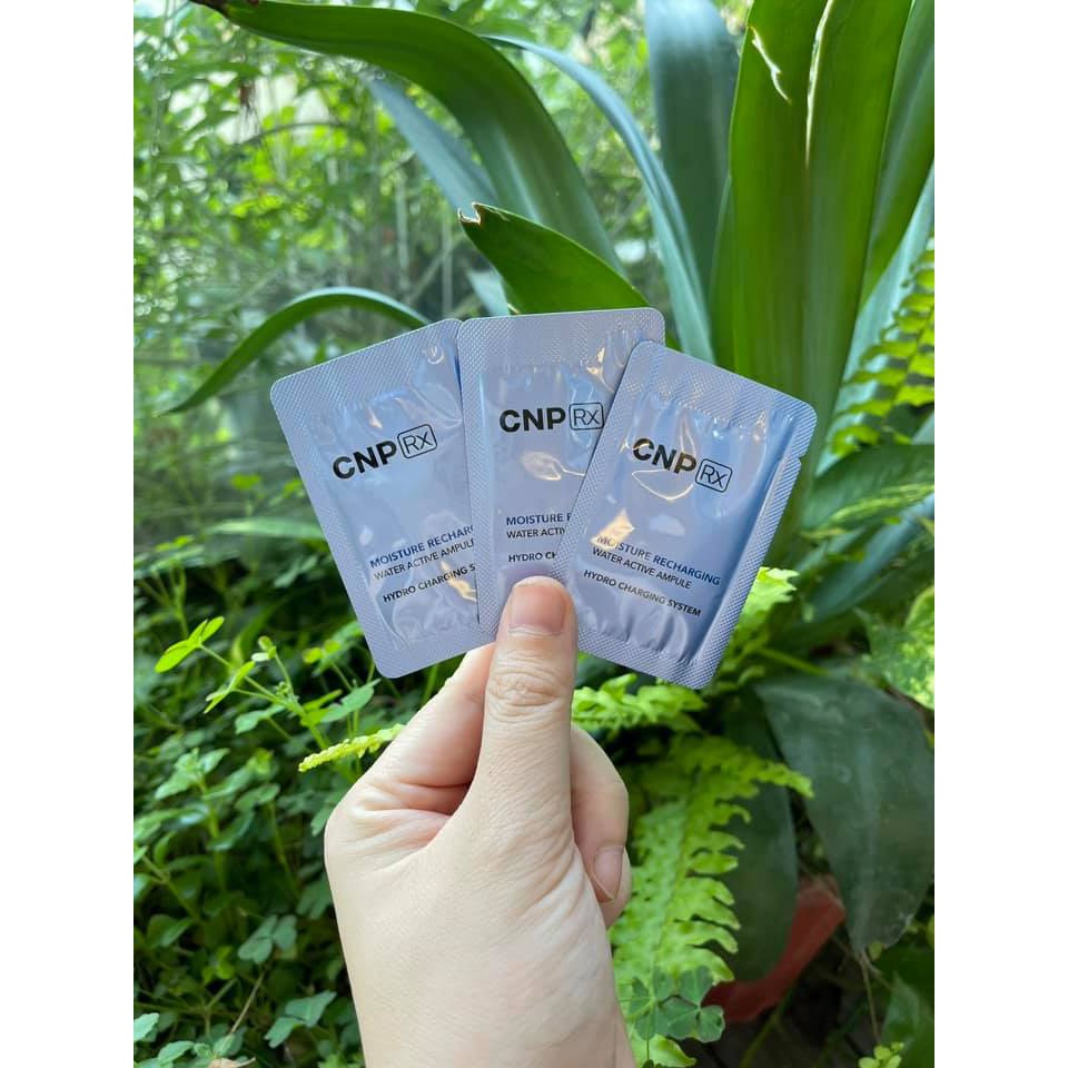 Gói Tinh chất cấp nước keo ong xanh căng bóng da CNP Rx Moisture Recharging Water Active Ampoule 1ml | BigBuy360 - bigbuy360.vn