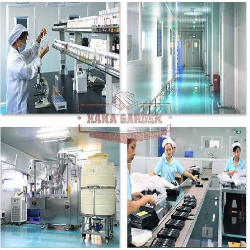 Tinh dầu thiên nhiên Nhập Khẩu GỘP CHUNG CÓ NHIỀU MÙI LỰA CHỌN Tự chọn 12 mùi. Dung Tích: 10ml