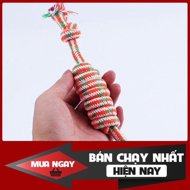 Dây cho cún tập nhai nhiều mầu sắc 0