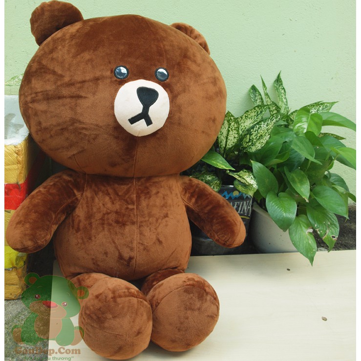 Gấu Brown khổ 1m