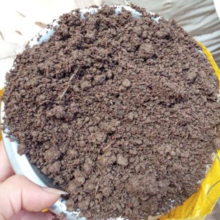 1kg Đất thịt phù sa đã xử lý sạch mầm bệnh, tơi xốp, dinh dưỡng .