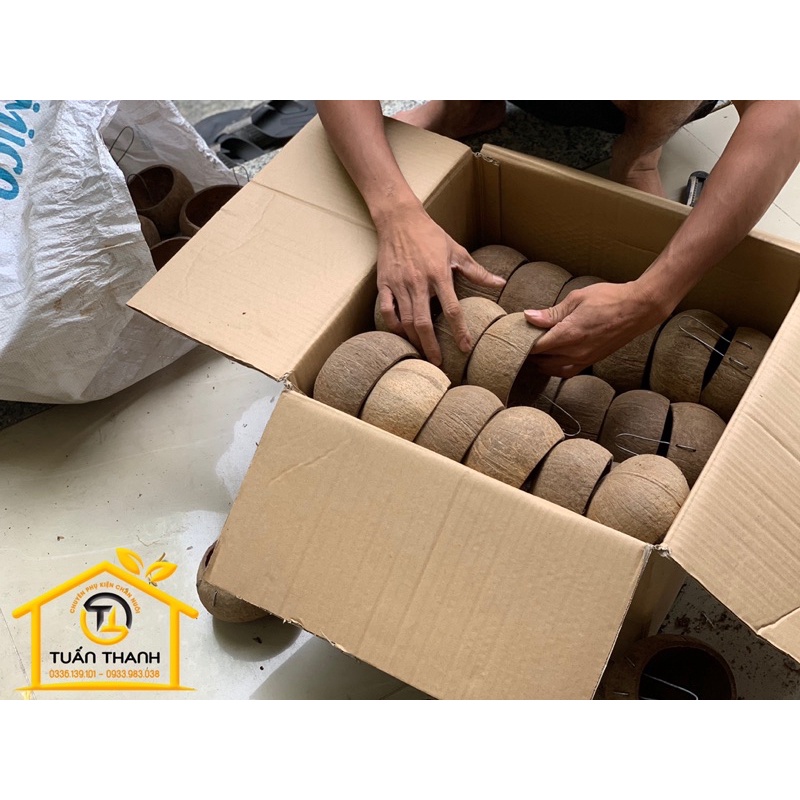 COMBO 10 GÁO DỪA CHO GÀ ĂN HOẶC TRỒNG LAN