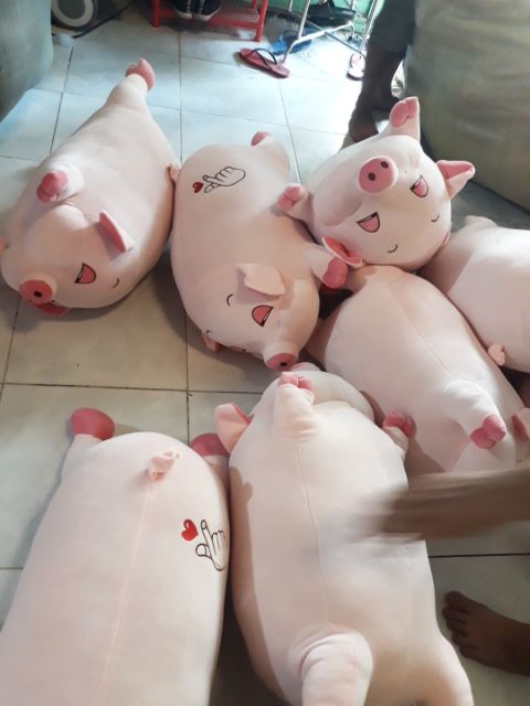 Gấu Bông Heo Bông NGỦ SIÊU TO KHỔNG LỒ