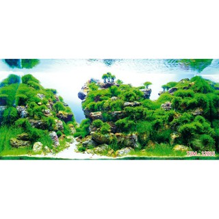Tranh 3D dán hồ cá, hồ thủy sinh siêu đẹp siêu nét đã có keo sẵn , nhận in theo mọi kích thước yêu cầu