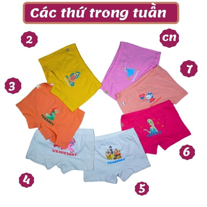 Quần đùi chip cho bé gái từ 18-41kg - hình Elsa- Pony -Thun cotton 4 chiều - Tomchuakids