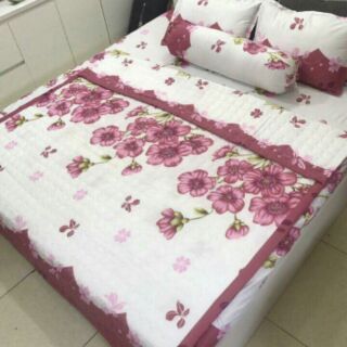 Bộ ga giường polycotton