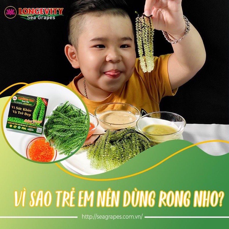 [Chính Hãng] Rong nho trường thọ Chính hãng Hộp 20 Gói 20gr + tặng kèm 20 gói sốt mè rang Kewpie 15ml